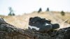 Bontrager Shoe Bontrager Rally MTB 46 Grey/Black