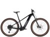 Trek Powerfly+ 4 EU L 29 Gloss Dark Star/Matte Dark Web