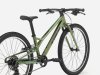 Trek Wahoo 24 Path 24 Chameleon Green