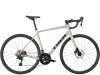 Trek Domane AL 4 56 Gloss Supernova