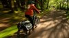Trek Powerfly+ 4 800EU M 29 Radioactive Red / Black Chr