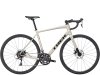 Trek Domane AL 2 49 Gloss Supernova